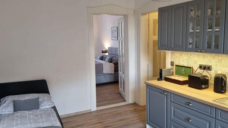 Apartment Contibodenbach Decin